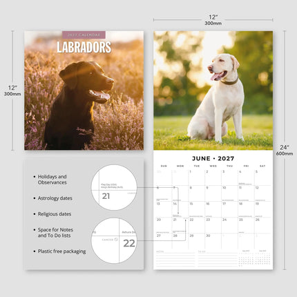 Red Robin Labrador Retriever Mixed Kalender 2027
