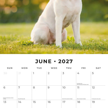 Red Robin Labrador Retriever Mixed Kalender 2027