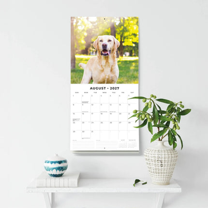 Red Robin Labrador Retriever Mixed Kalender 2027