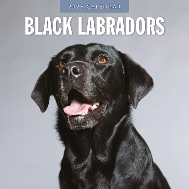 Red Robin Labrador Retriever Zwart Kalender 2026