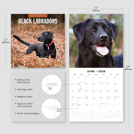Red Robin Labrador Retriever Zwart Kalender 2027