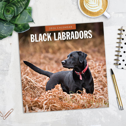 Red Robin Labrador Retriever Zwart Kalender 2027
