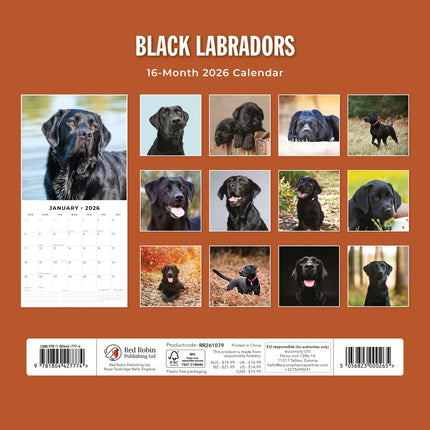 Red Robin Labrador Retriever Zwart Kalender 2027