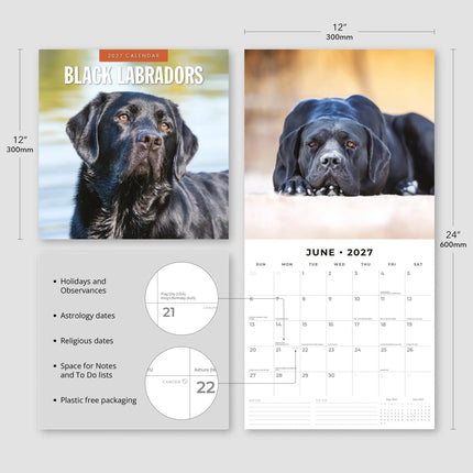 Red Robin Labrador Retriever Zwart Kalender 2027