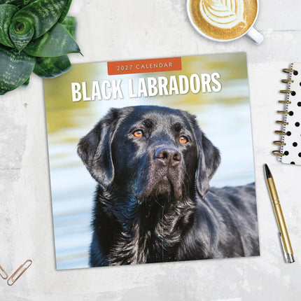 Red Robin Labrador Retriever Zwart Kalender 2027