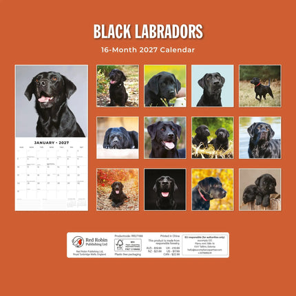 Red Robin Labrador Retriever Zwart Kalender 2027
