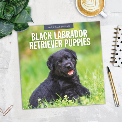Red Robin Labrador Retriever Zwart Puppies Kalender 2026