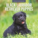 Red Robin Labrador Retriever Zwart Puppies Kalender 2026