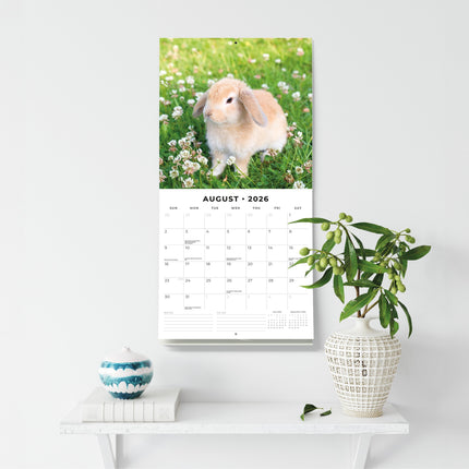 Red Robin Langoor Konijnen Kalender 2026