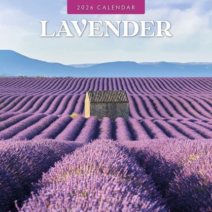 Red Robin Lavendel Kalender 2026