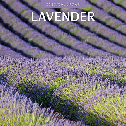Red Robin Lavendel Kalender 2027