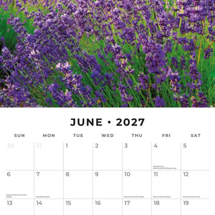 Red Robin Lavendel Kalender 2027