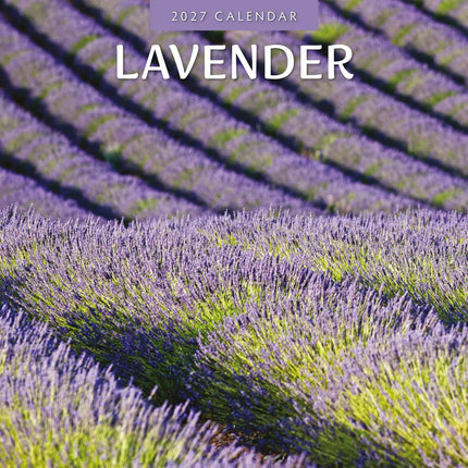 Red Robin Lavendel Kalender 2027