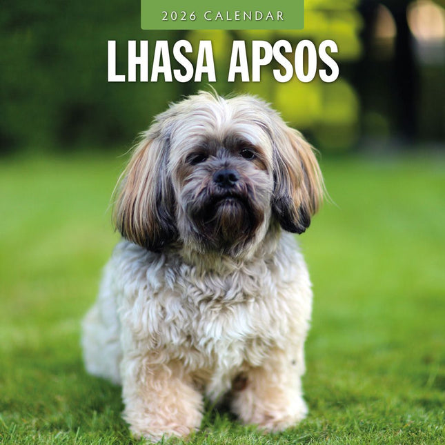 Red Robin Lhasa Apso Kalender 2026