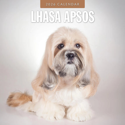 Red Robin Lhasa Apso Kalender 2026