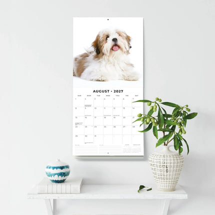 Red Robin Lhasa Apso Kalender 2027
