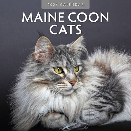 Red Robin Maine Coon Kalender 2026