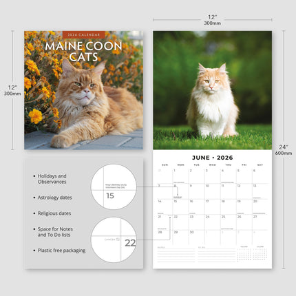 Red Robin Maine Coon Kalender 2026