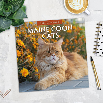 Red Robin Maine Coon Kalender 2026