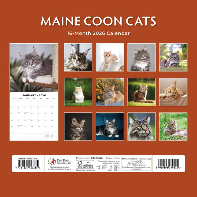 Red Robin Maine Coon Kalender 2026
