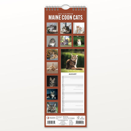 Red Robin Maine Coon Slimline Kalender 2026