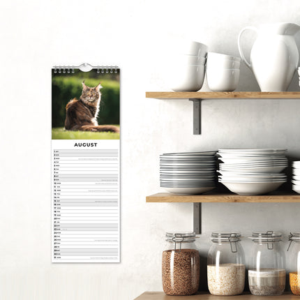 Red Robin Maine Coon Slimline Kalender 2026