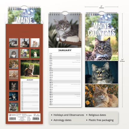 Red Robin Maine Coon Slimline Kalender 2026