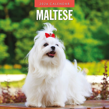 Red Robin Maltezer Kalender 2026