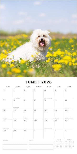 Red Robin Maltezer Kalender 2026