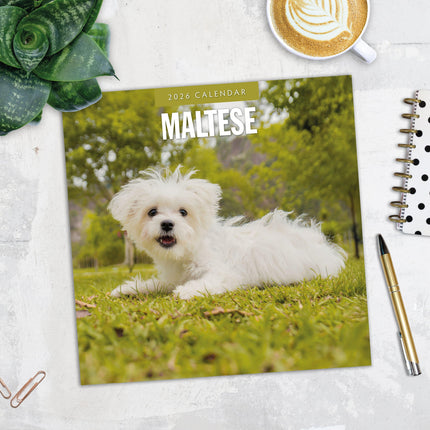 Red Robin Maltezer Kalender 2026