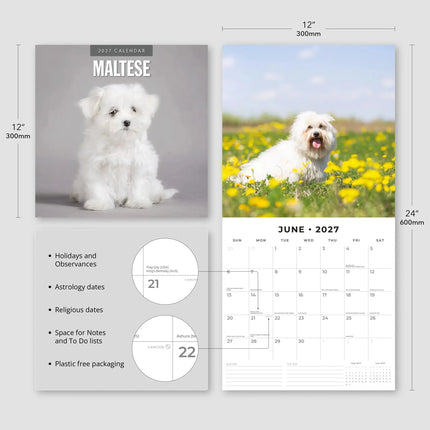 Red Robin Maltezer Kalender 2027