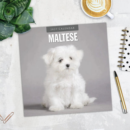 Red Robin Maltezer Kalender 2027