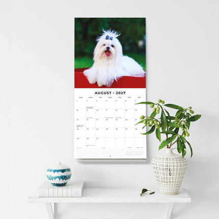 Red Robin Maltezer Kalender 2027