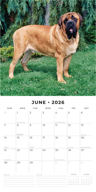 Red Robin Mastiff Kalender 2026
