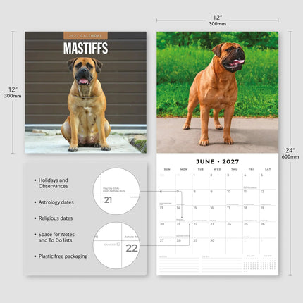 Red Robin Mastiff Kalender 2027
