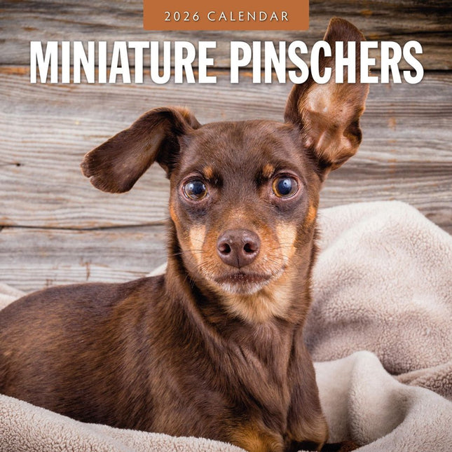 Red Robin Miniatuur Pinscher Kalender 2026