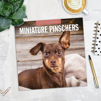 Red Robin Miniatuur Pinscher Kalender 2027