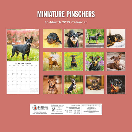Red Robin Miniatuur Pinscher Kalender 2027