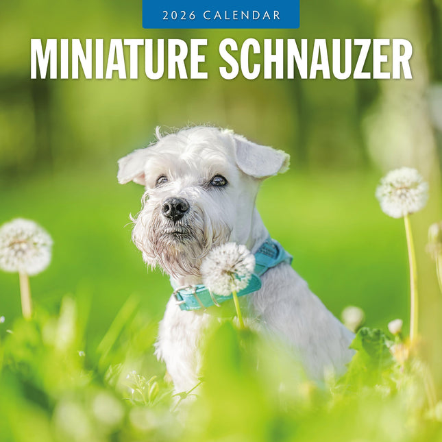 Red Robin Miniatuur Schnauzer Kalender 2026