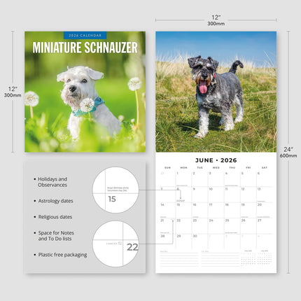 Red Robin Miniatuur Schnauzer Kalender 2026