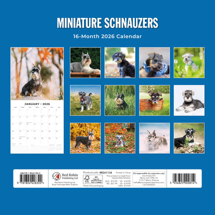 Red Robin Miniatuur Schnauzer Kalender 2026
