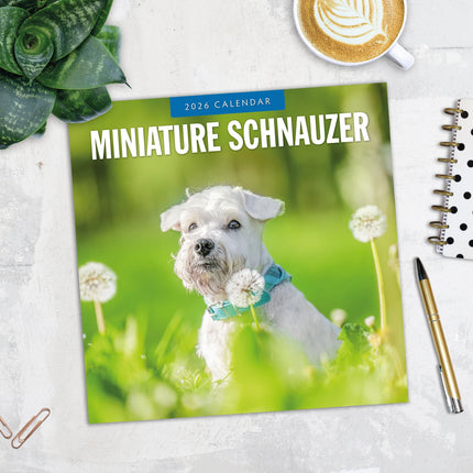 Red Robin Miniatuur Schnauzer Kalender 2026