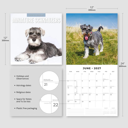 Red Robin Miniatuur Schnauzer Kalender 2027