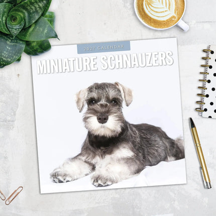 Red Robin Miniatuur Schnauzer Kalender 2027