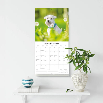 Red Robin Miniatuur Schnauzer Kalender 2027
