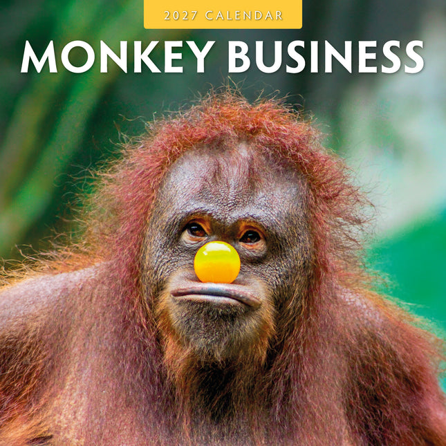 Red Robin Monkey Business Kalender 2027