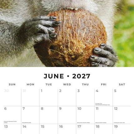 Red Robin Monkey Business Kalender 2027