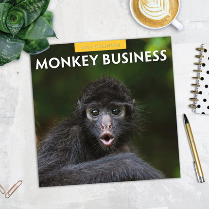 Red Robin Monkey Business Kalender 2027