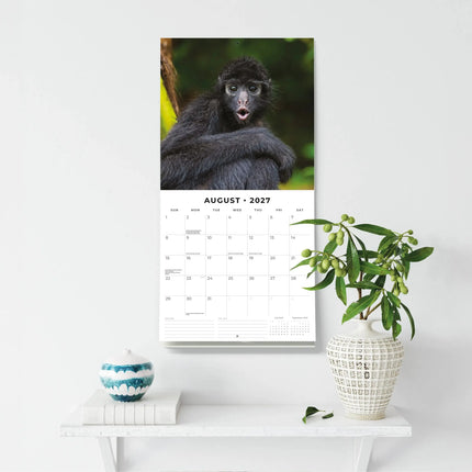 Red Robin Monkey Business Kalender 2027