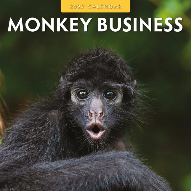 Red Robin Monkey Business Kalender 2027